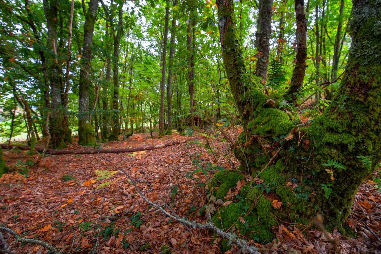 Appartement Bacelo Ribeira Sacra